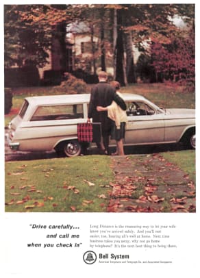 42925 - 100 - Image